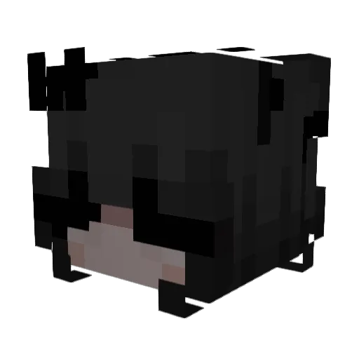 Dragonia012 Minecraft avatar head, 3D render