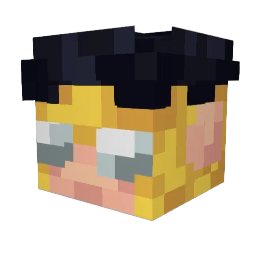 Dragonkiller525 Minecraft avatar head, 3D render