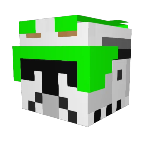 Dragonkiller9853 Minecraft avatar head, 3D render