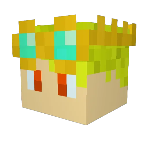 Dragonking1355 Minecraft avatar head, 3D render