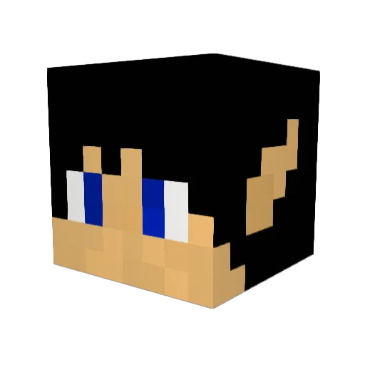 Dragonking1591 Minecraft avatar head, 3D render