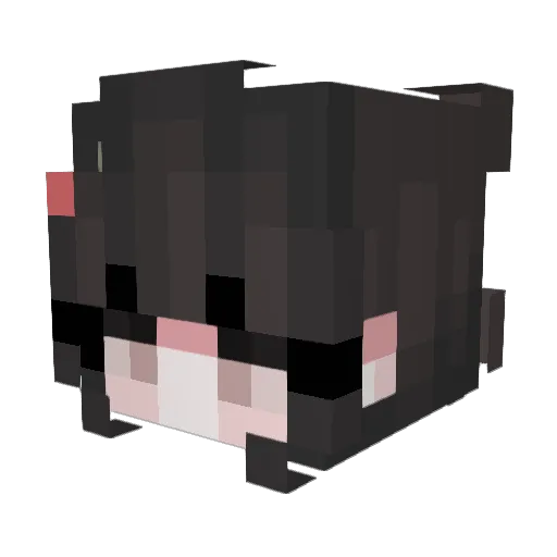 Dragonlu42 Minecraft avatar head, 3D render