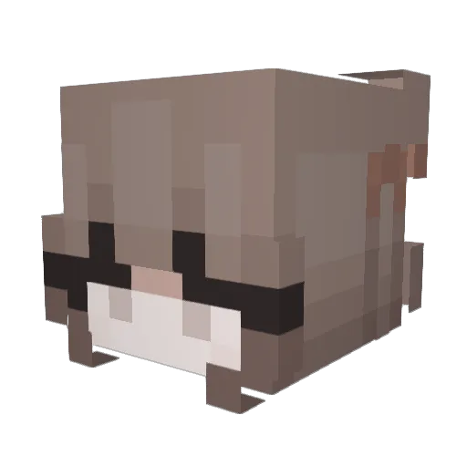 Dragonly907 Minecraft avatar head, 3D render