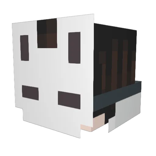 Dragonoflight00 Minecraft avatar head, 3D render