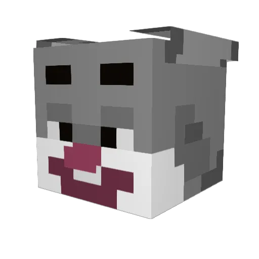 Dragonrider01 Minecraft avatar head, 3D render