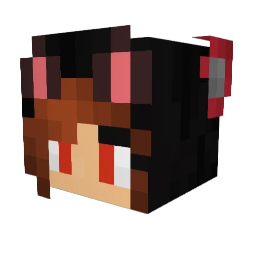 DragonsHowling Minecraft avatar head, 3D render