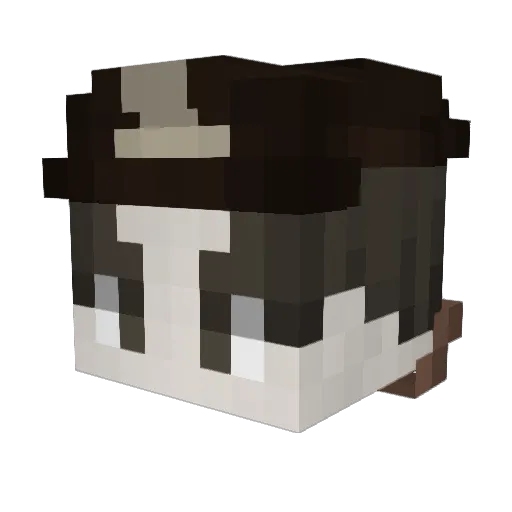 Dragonsbane Minecraft avatar head, 3D render