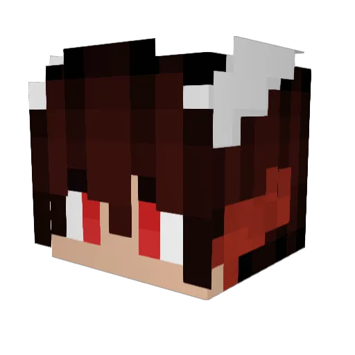 Dragonskullz1 Minecraft avatar head, 3D render