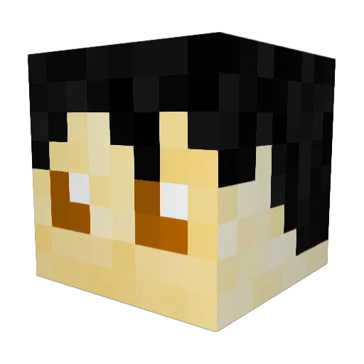 Dragonslayerneel Minecraft avatar head, 3D render