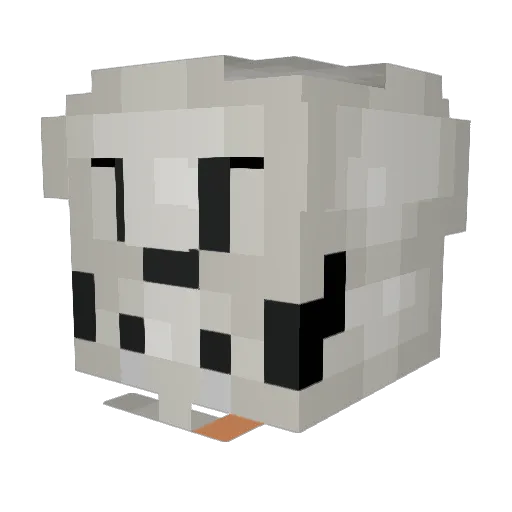 Dragontooth21 Minecraft avatar head, 3D render