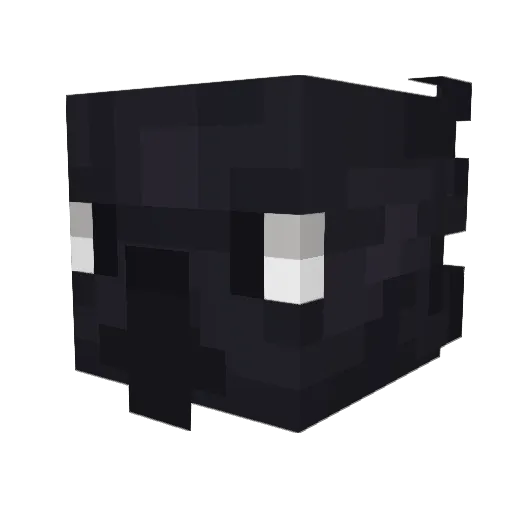 Dragonwing07 Minecraft avatar head, 3D render