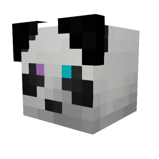 DragonwithWifi Minecraft avatar head, 3D render