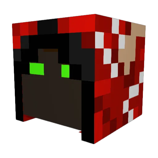 Dragonwolf1119 Minecraft avatar head, 3D render