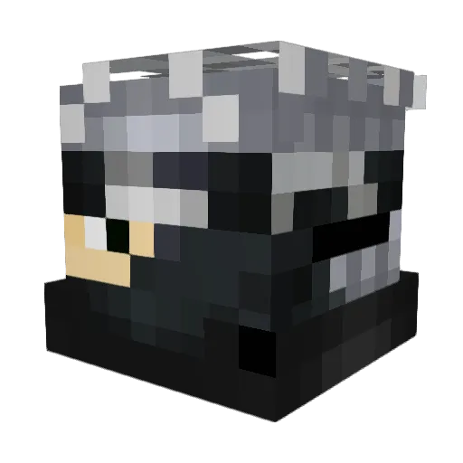 Dragoon134 Minecraft avatar head, 3D render