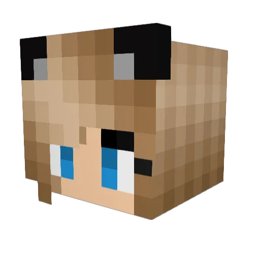 Dragoon_Sage Minecraft avatar head, 3D render