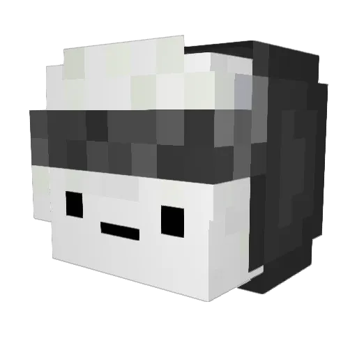 Drags67 Minecraft avatar head, 3D render