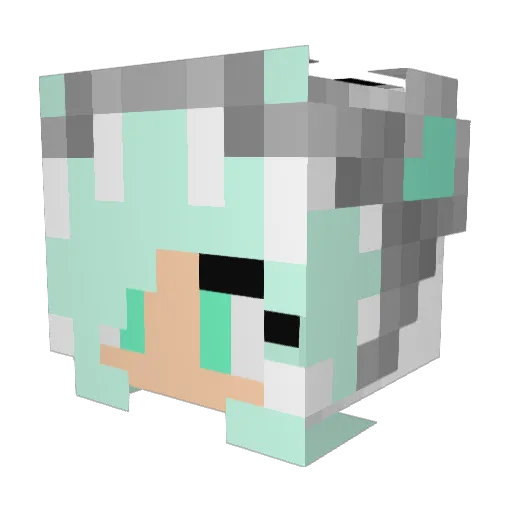 Dragunsonic Minecraft avatar head, 3D render