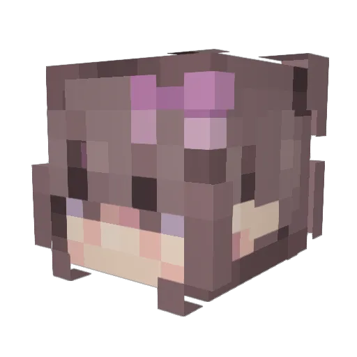 Draguntea Minecraft avatar head, 3D render