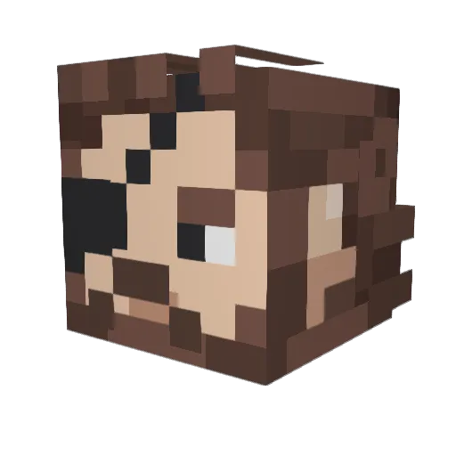 Draikes Minecraft avatar head, 3D render