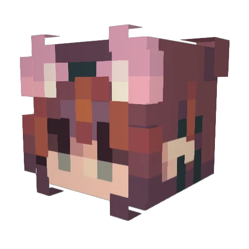 DrainTheSwamp Minecraft avatar head, 3D render