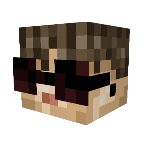 Drainlyfe Minecraft avatar head, 3D render