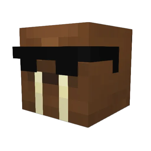 Draire Minecraft avatar head, 3D render
