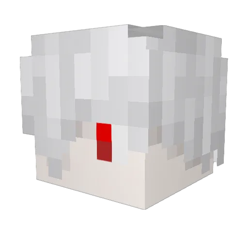 Draizaa Minecraft avatar head, 3D render