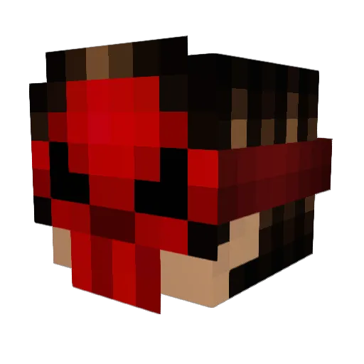 Drajwex Minecraft avatar head, 3D render