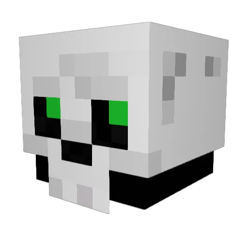 Drak93100 Minecraft avatar head, 3D render