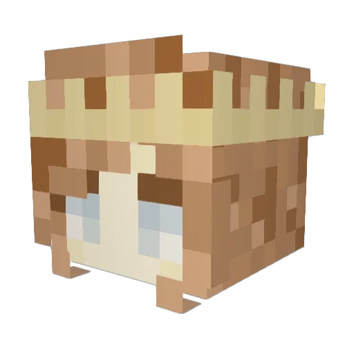 Drakarn24 Minecraft avatar head, 3D render