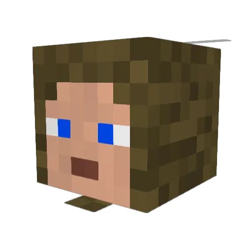 Drakcol Minecraft avatar head, 3D render