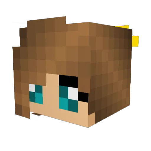 Drake0524 Minecraft avatar head, 3D render