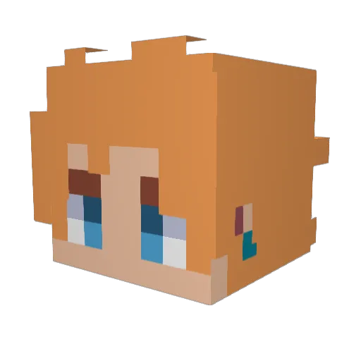 Drake0953 Minecraft avatar head, 3D render