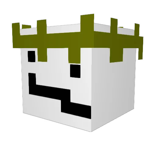 Drake63692 Minecraft avatar head, 3D render