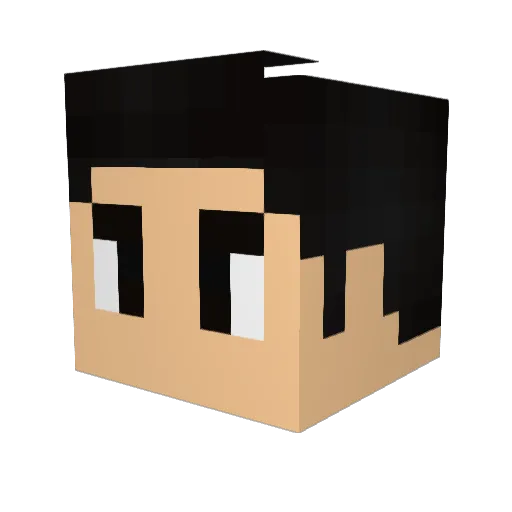Drake95 Minecraft avatar head, 3D render