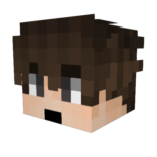 DrakeGaming05 Minecraft avatar head, 3D render