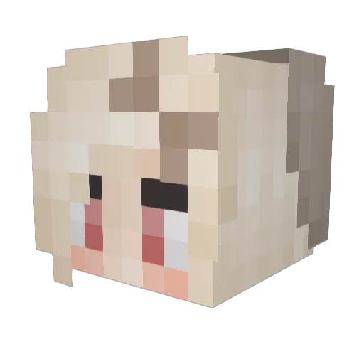 DrakeSlaysMC Minecraft avatar head, 3D render