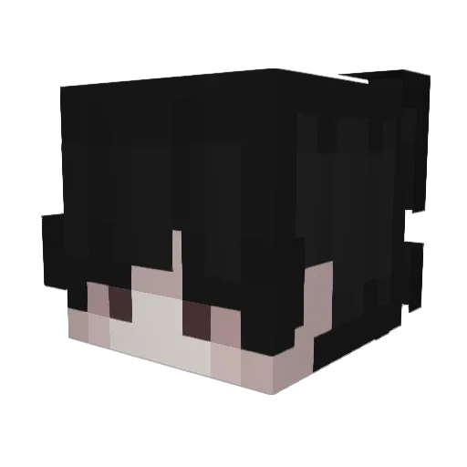 DrakeSq7 Minecraft avatar head, 3D render