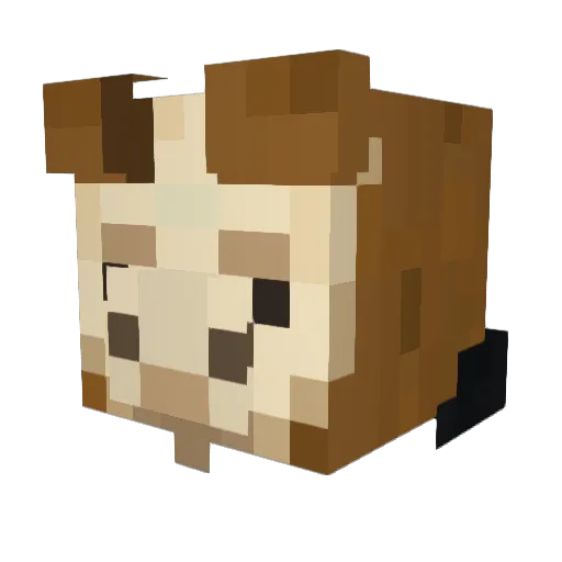 DrakeTheTurtle Minecraft avatar head, 3D render