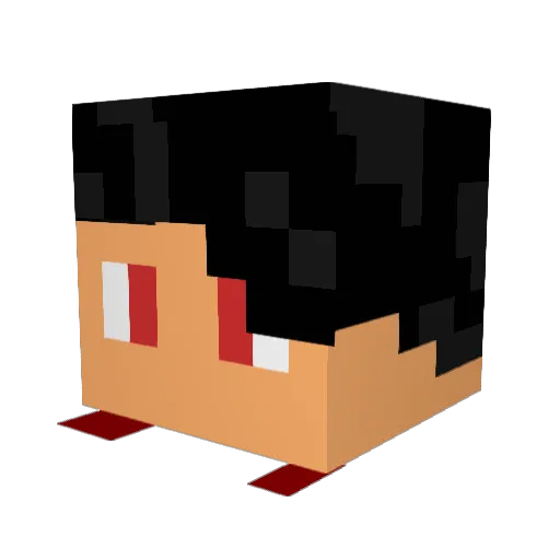 DrakeTimeYT Minecraft avatar head, 3D render