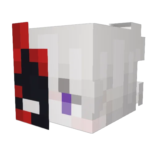 DrakeW0lf Minecraft avatar head, 3D render