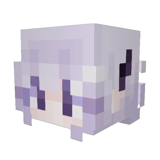 Drakehellstone Minecraft avatar head, 3D render