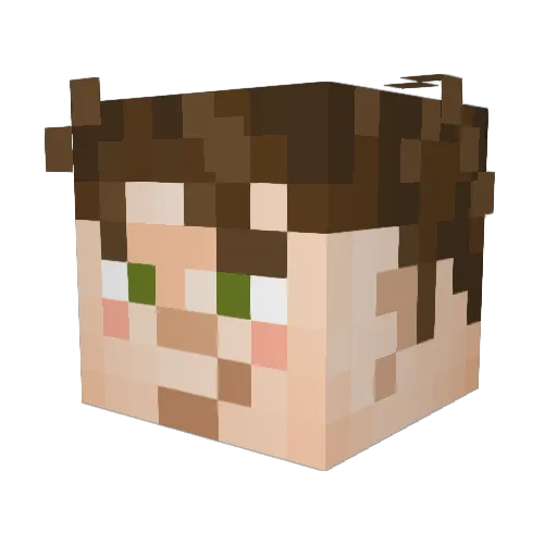 Drakenslachter Minecraft avatar head, 3D render
