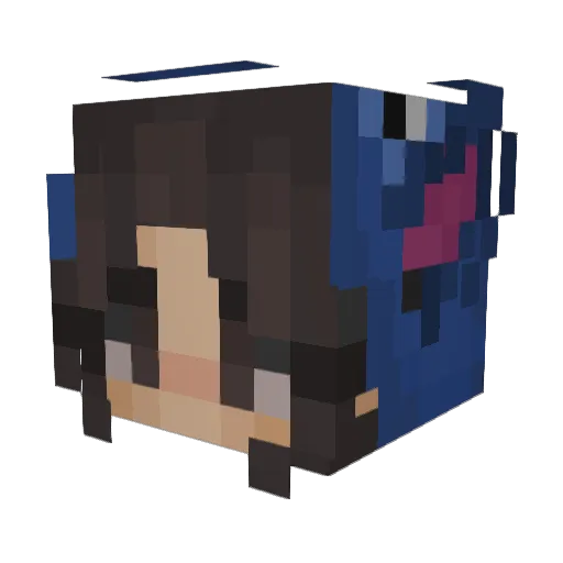DrakesNugget Minecraft avatar head, 3D render