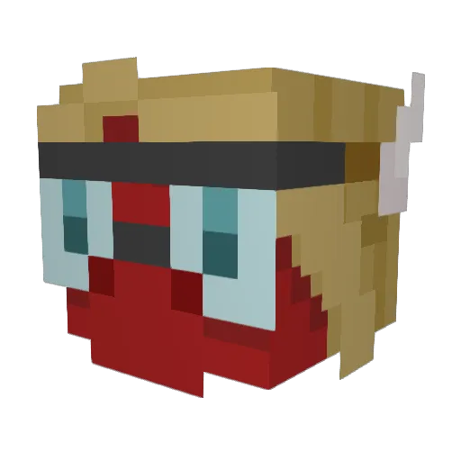 Draketoons Minecraft avatar head, 3D render
