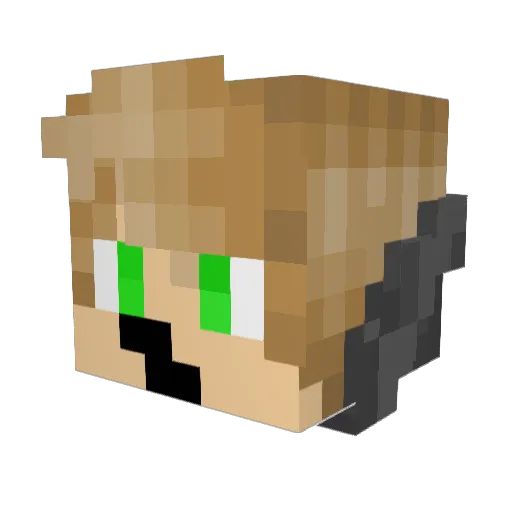 DrakioBloom Minecraft avatar head, 3D render
