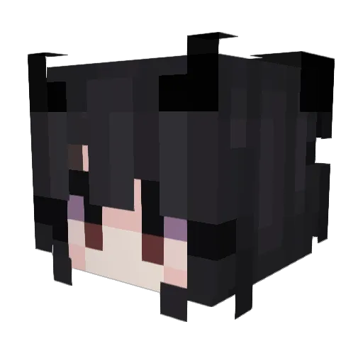 Drakken66 Minecraft avatar head, 3D render