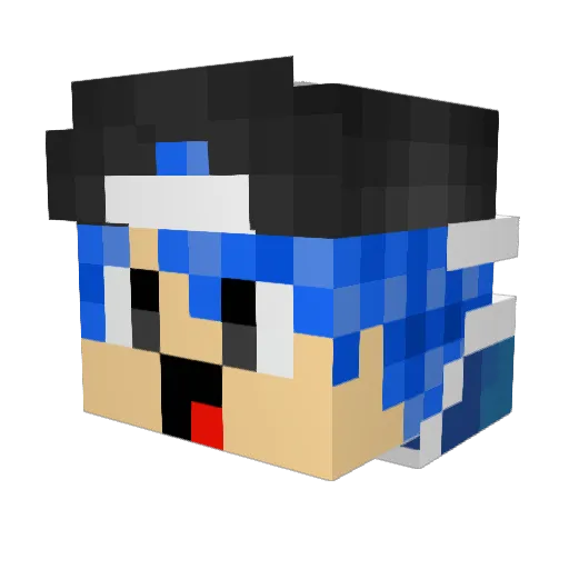 Drakken_14 Minecraft avatar head, 3D render