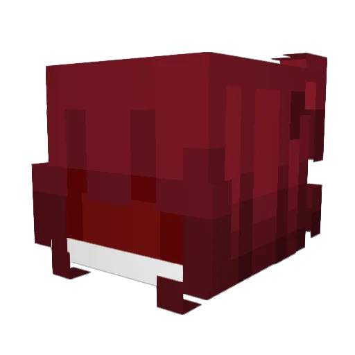 Drakkoov Minecraft avatar head, 3D render