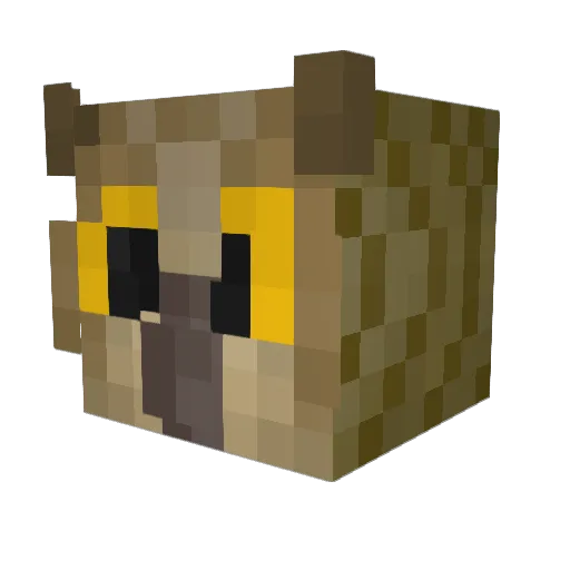 Drakladow Minecraft avatar head, 3D render